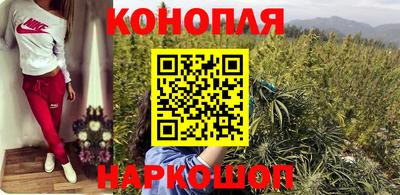 трава Гатчина