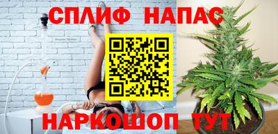 трава Гатчина